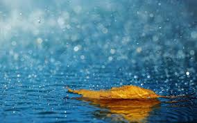 احصل على المجموعة الكاملة من البرامج مجانًا للشهر الأول. Rain Wallpapers Top Free Rain Backgrounds Wallpaperaccess