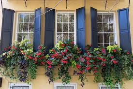 We supply everything from cake boxes, cupcake boxes, mini cupcake boxes, cups, cake delivery trays and bags to silicone paper. Everything You Need To Know About Adding Window Boxes To Your Nyc Apartment Elegran S Real Estate Blog