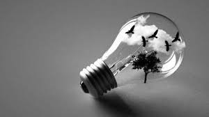 Black And White Light Bulb Wallpaper Artwork Birds Black And White Light Bulbs Wallpaper White Light Bulbs Bulb Light