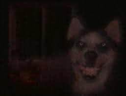 We did not find results for: Smile Dog Die Originale Geschichte Vom Smiledog Jpg