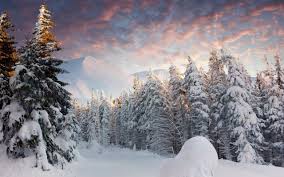 Snow Wallpapers For Desktop 57 Pictures Choose from hundreds of free snow wallpapers. snow wallpapers for desktop 57 pictures