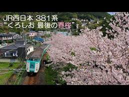 Japan hot massage, japanese hot massage, 日本式マッサージ •••. Jrè¥¿æ—¥æœ¬ 381ç³» ãã‚ã—ãŠæœ€å¾Œã®æ˜¥æ¡œ Youtube