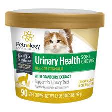 Healthymouth llc is dedicated to my late dad, philip jacob albert in loving celebration of a phenomenal man and a life that deeply touched so many. Pet Essentials Healthy Mouth For Dogs The Y Guide