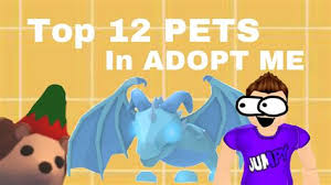 Roblox adopt me pets quiz answers 100% score. Adopt Me Quiz 2020 What Pet Are You Can You Beat This Cute Roblox Game Adopt Me Youtube See The Best Latest Adopt Me Pet Codes 2020 On Iscoupon Com Claudineh Mood