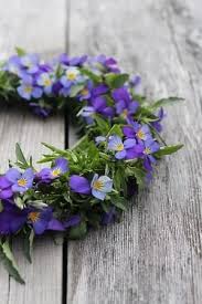 Pin Von Fiolek Auf Garden Schone Blumen Lila Garten Pflanzen