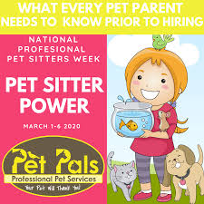 Power pet sitter offers training via webinars. What Every Pet Parent Needs To Know Prior To Hiring