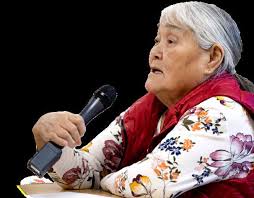 Aging With Dignity Elders and Seniors Strategy