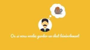 Get daily association chat updates. Prete Moi Ton Chat Garde De Chat Entre Particuliers