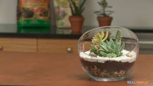 Kimisty 10 inch mid century large round succulent planter bowl with drainage, white ceramic pot with wood stand, succulent garden shallow pot, tabletop centerpiece, includes decorative white pebbles. How To Make A Terrarium Video And Step By Step Instructions Real Simple