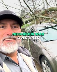 Neighbour War Over Trees