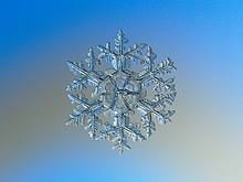 Snowflake Wikipedia