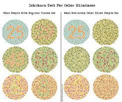 They may not see colors at all. Pin On Education