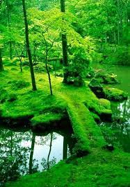 Moss Bridge Kyoto Japan Japanese Garden Landscape Nature