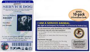 Pin On Collars Harnesses And Leashes