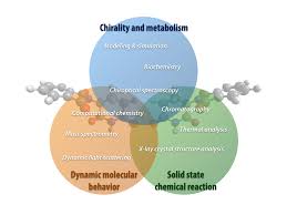 research_biomolecular behavior of Asahi Lab