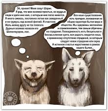 Sharik I Shopengauer Karikatura Raznoe Komiksy