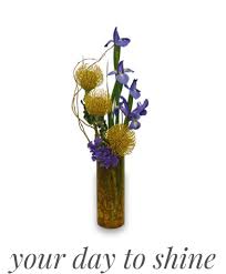 Maybe you would like to learn more about one of these? Masculine Flowers For Father S Day
