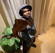 Biography, profile, albums & songs. Bad Boy Timz Biography Real Name Age Musics And Net Worth Contents101