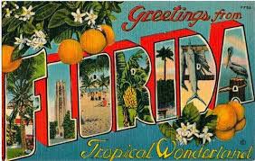 Over 500,000 vintage and antique postcards for sale. Pin By Polly Henley On Wish You Were Here Postcard Vintage Florida Vintage Postcards