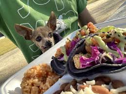 Maybe you would like to learn more about one of these? Amo Nakatl Asada Temecula California Restaurant Happycow