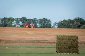 Prices for sod can range from eight to thirty cents per square foot, which brings the total of a 2,000 square. How Much Does A Pallet Of Sod Cost Ng Turf