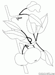 Hand drawn stylized tree coloring page stock illustration download image color. Coloring Page Apple Tree Branch