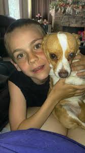 Lost dog in Tehama County area