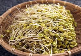 We did not find results for: Tauge Halus Dan Tauge Kasar Kf Vegetables Wholesale Facebook