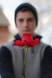 Fotos gratis : mano, persona, planta, fotografía, flor, masculino, amor,  regalo, Rosa, joven, primavera, rojo, color, niño, de cerca, Organo,  enamorado, emoción 2848x4272