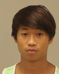 No one knows why teen demanded to plead guilty to attempted murder