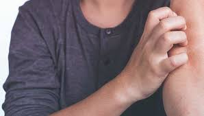 Maybe you would like to learn more about one of these? Horse Fly Bites Symptoms Treatment And More