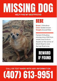 Found cat-see below for info.