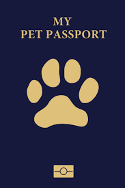 200 likes · 118 were here. My Pet Passport Vet Visit And Pet Vaccination Record Log Book For Your Healthy Pet Small Pocket Size 6 X 9 Inches Size Press Amilia 9798714051449 Amazon Com Books