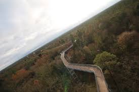 Sie erreichen den ganzjährig geöffneten baumkronenpfad stündlich mit der rb7 von berlin oder der rb 23 von. Heilstatten And Tree Top Walk Beelitz The Passenger