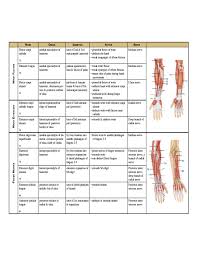 Complete Muscle Chart Free Download