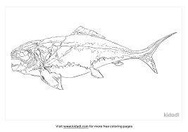 Free Dunkleosteus Coloring Page | Coloring Page Printables | Kidadl