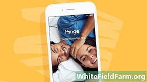 Hinge is designed to be deleted. News Dating App Hinge Will Das Wahre Ich Mit Videoclips Prasentieren Gadgets 2021