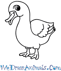 Explore thousands of inspiring classes for creative and curious people. How To Draw A Cartoon Goose