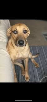 You grew up in Seale AL if......