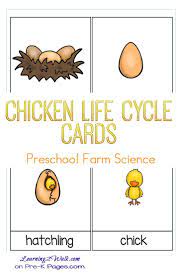 Life Cycle Of A Chicken For Kids Lesson Plan Farm Preschool Chicken Life Cycle Farm Theme Preschool