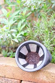 koffiedik in de tuin gebruiken 5 verrassende voordelen een goed verhaal tuin gadgets groenblijvende tuin fruitboom tuin