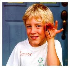 Dragonflies of Manitoba