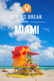 Spending Spring Break In The Florida Sunshine Make The Most Of Your Vacation With These Top Tours Activities In Live Miami Tour Top Tours Florida Activities