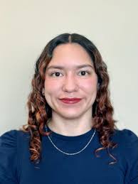 Economics of AI Fellowship