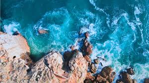 Portugal and spain are working together to create open space to allow the remaining few hundred lynxes portugal is a democratic republic and has been a member of the european union since 1986. 46 Reasons To Visit Portugal In 2021 From A Local