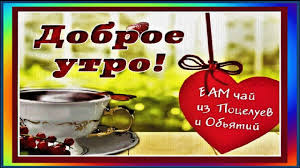 Вам открытка » с добрым утром. Good Morning Dobroe Utro Muz Otkrytka Luna Husky Edgargabriel Stockgirl Goodmorning Dobroeutro Youtube