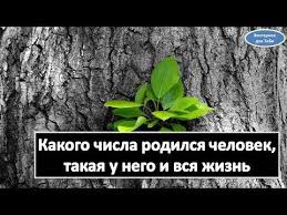 какого числа родился человек такая у него и вся жизнь Kakogo Chisla Rodilsya Chelovek Takaya U Nego I Vsya Zhizn Youtube Numerologiya Zhiznennye Sovety Sovety