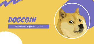 Elon musk thinks we're pretty cool. Ø·Ø±ÙŠÙ‚Ø© Ø´Ø±Ø§Ø¡ Ø¹Ù…Ù„Ø© Ø§Ù„Ø¯ÙˆØ¬ Ù…Ø³ØªÙ‚Ø¨Ù„ Ø¹Ù…Ù„Ø© Ø§Ù„Ø¯ÙˆØ¬ ÙƒÙˆÙŠÙ† 2021 Ø³Ø¹Ø§Ø¯Ø© Ø§Ù„Ù…Ø³ØªØ«Ù…Ø±