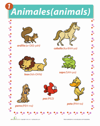 Animals In Spanish Worksheet Education Com Spanish Animals Animal Learning Spanish Worksheets