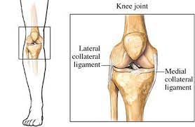 How long does a sprain take to getting a sprain can be one of the worst things that can happen to a runner. Sprained Knee Heal Fast And Strong Physioprescription